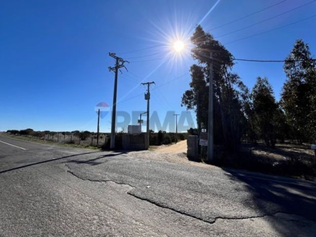place photo 29