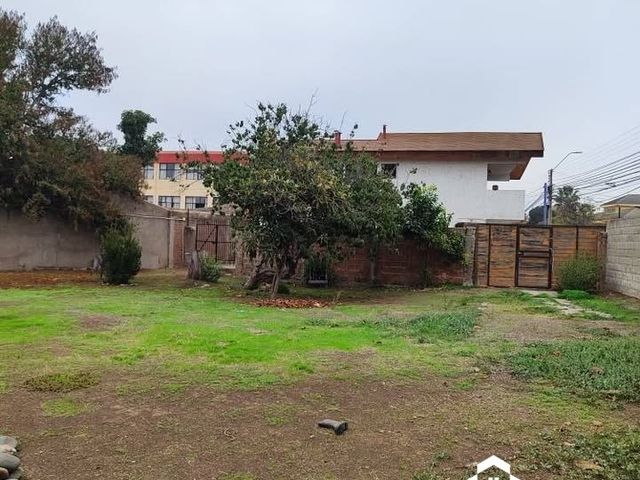 place photo 40