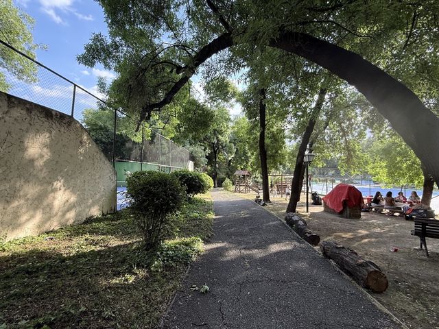 place photo 34