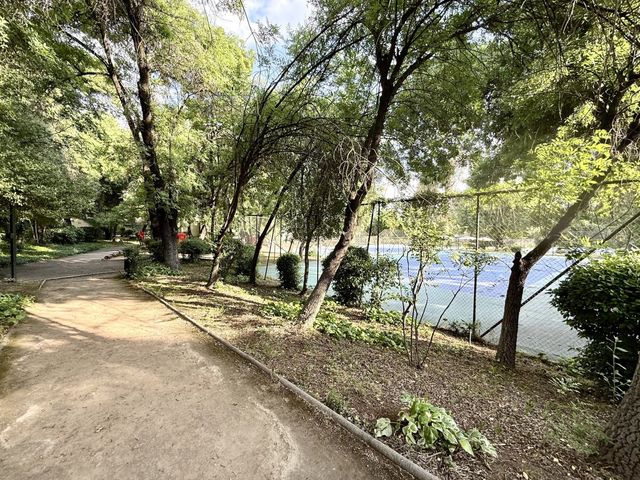 place photo 38