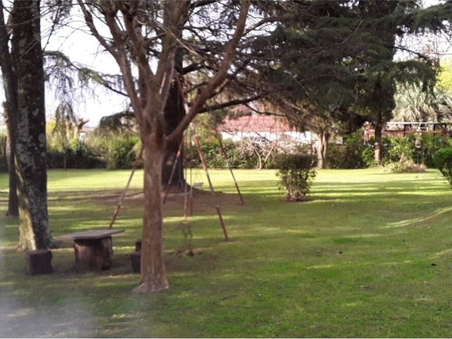 place photo 27