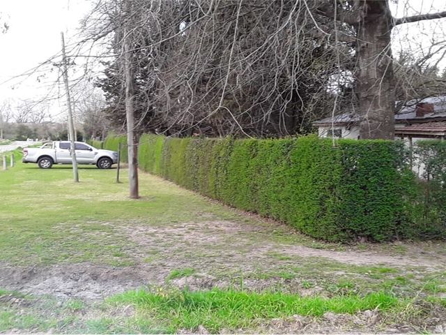 place photo 22
