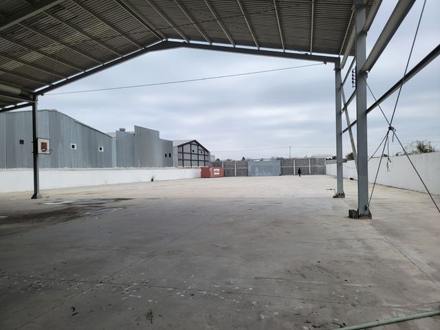 place photo 9