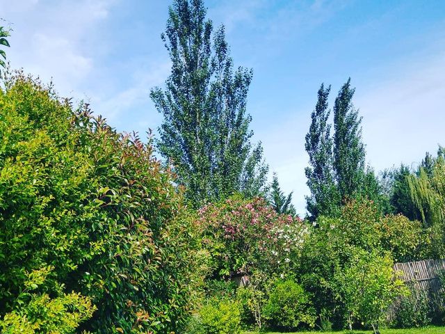 place photo 34