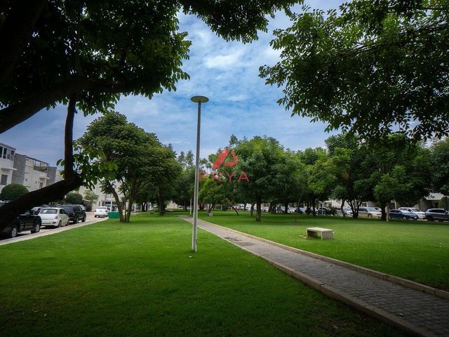 place photo 46