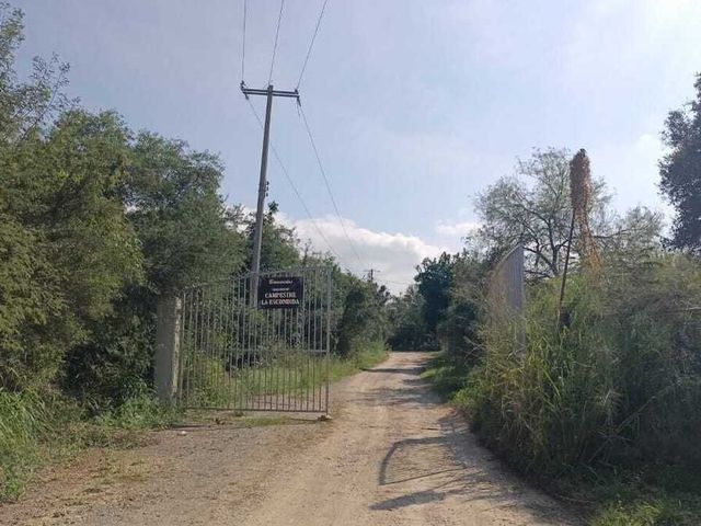 place photo 34
