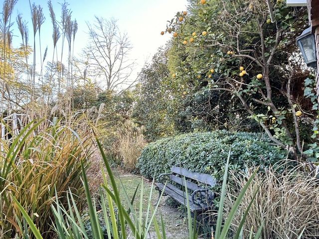 place photo 44