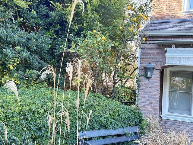 place photo 45