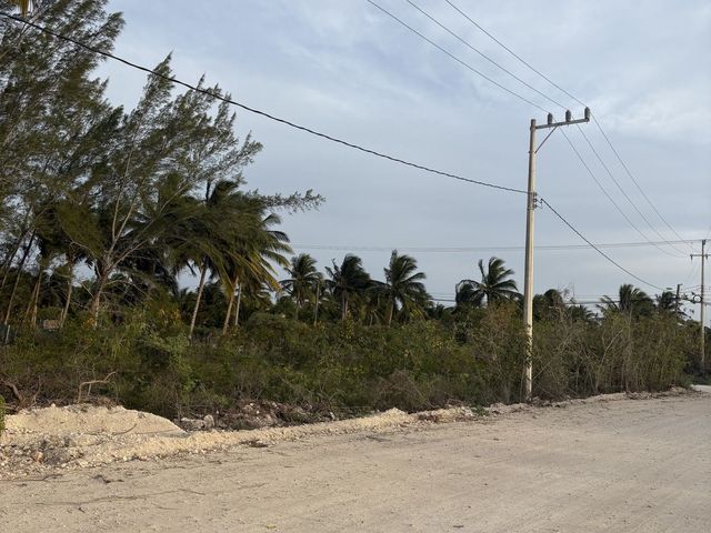 place photo 2