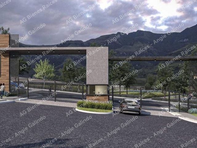 place photo 14