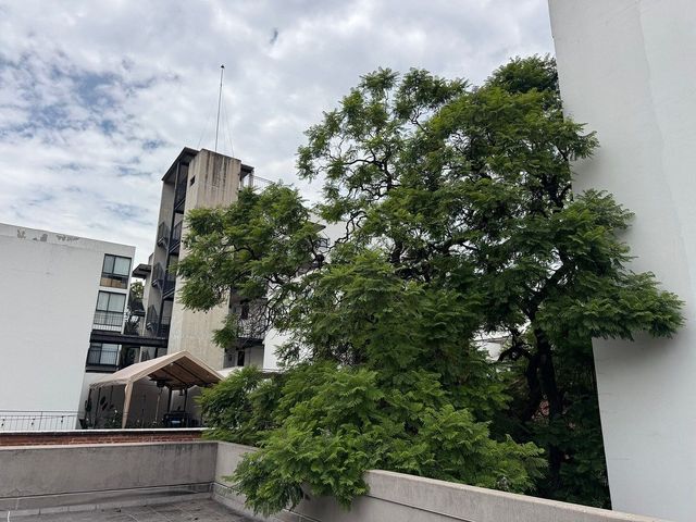 place photo 38
