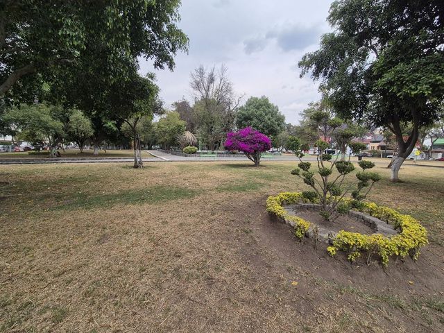 place photo 46