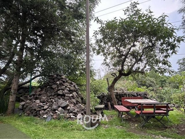 place photo 81