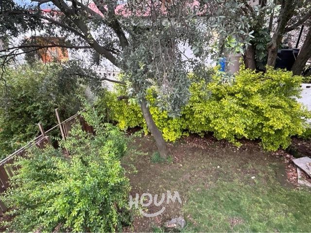 place photo 47