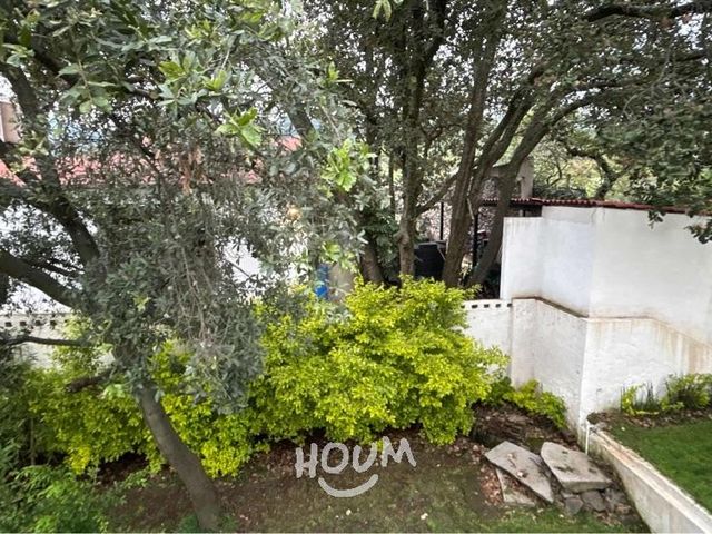 place photo 48