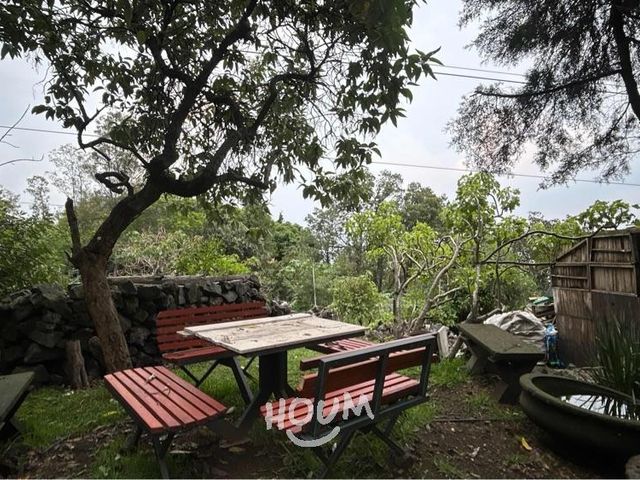 place photo 80