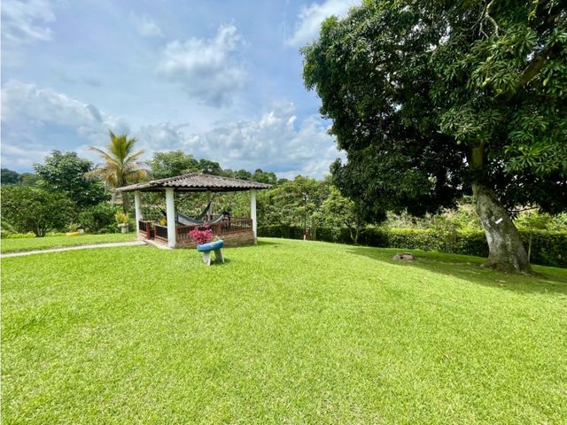 place photo 47
