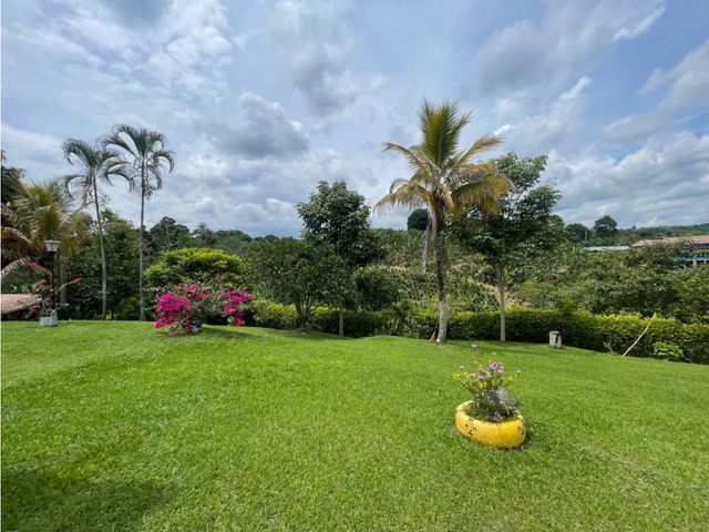 place photo 56