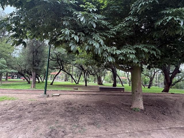 place photo 14