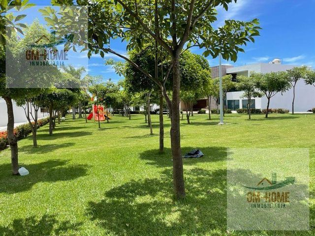 place photo 30