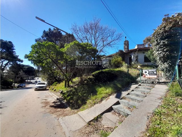 place photo 35