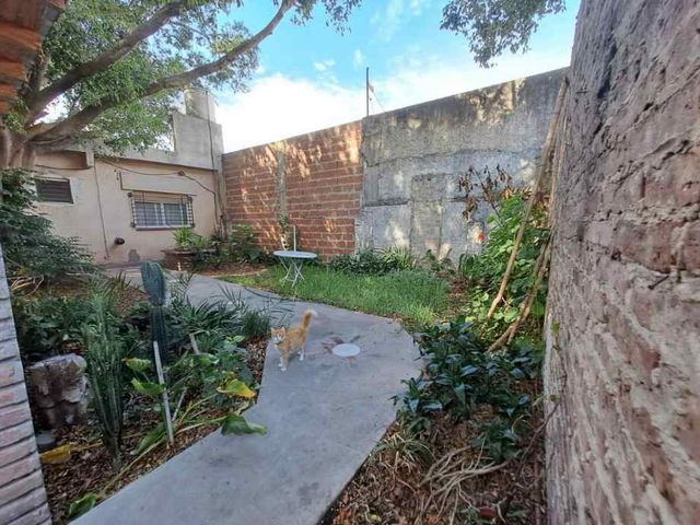 place photo 11