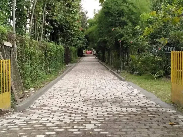 place photo 2