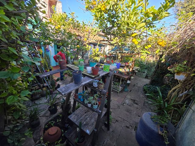place photo 31