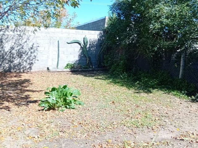 place photo 42