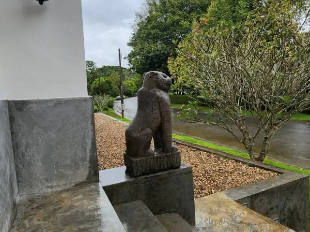 place photo 23