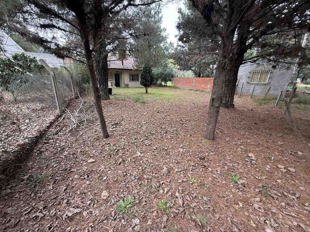 place photo 14