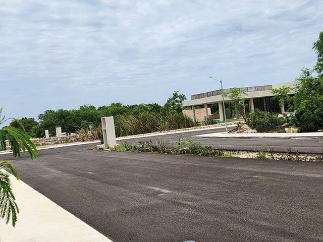 place photo 16