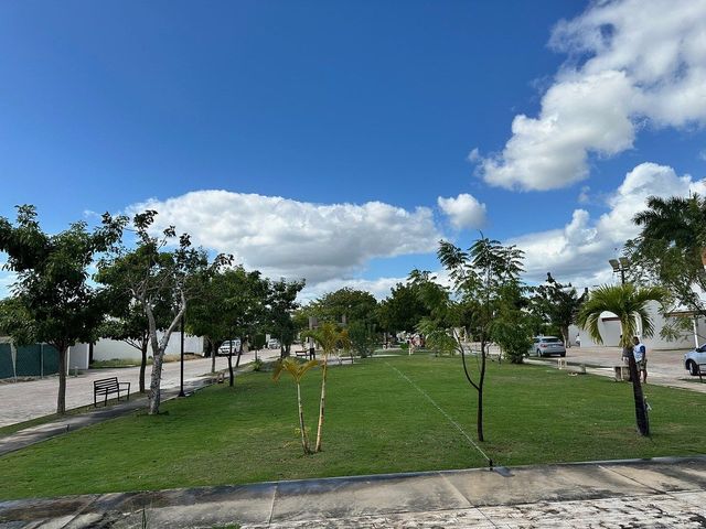 place photo 7
