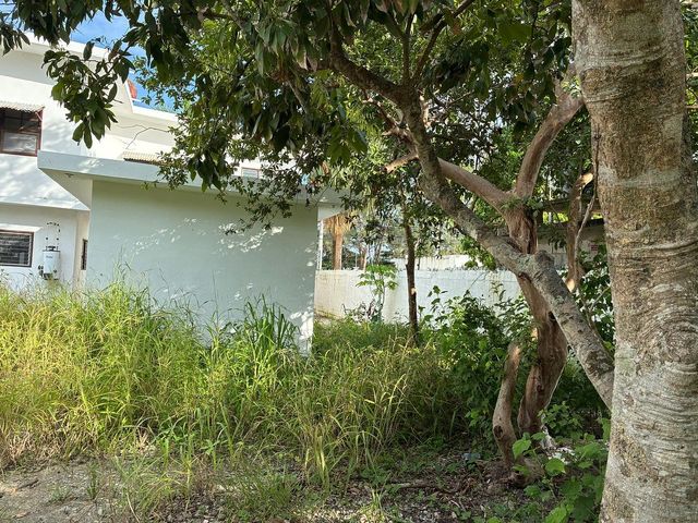 place photo 32