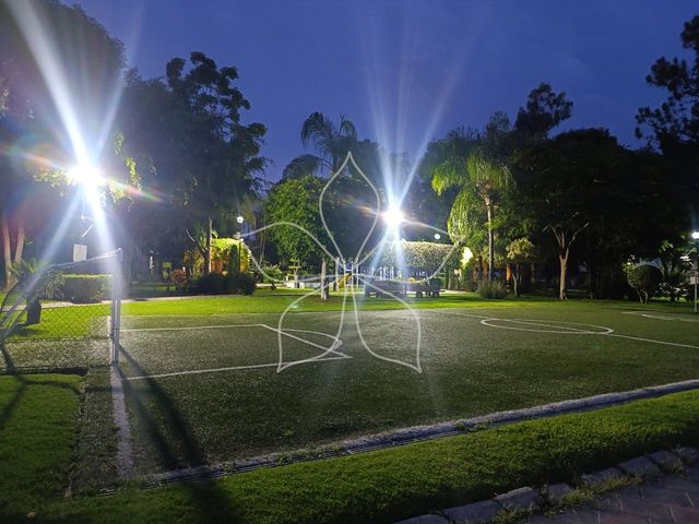 place photo 33
