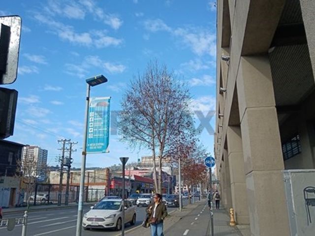 place photo 26