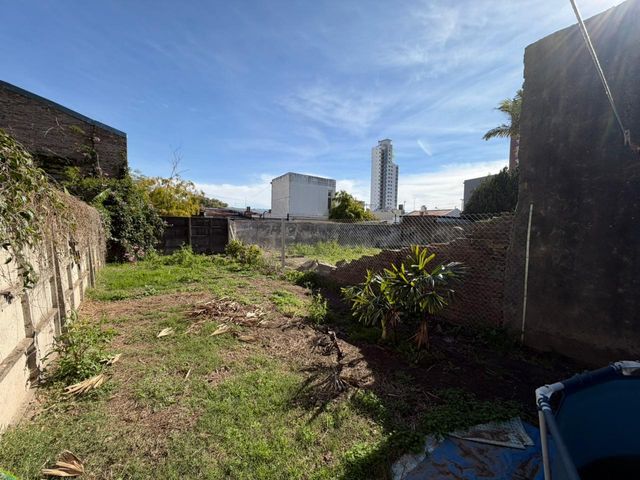 place photo 15