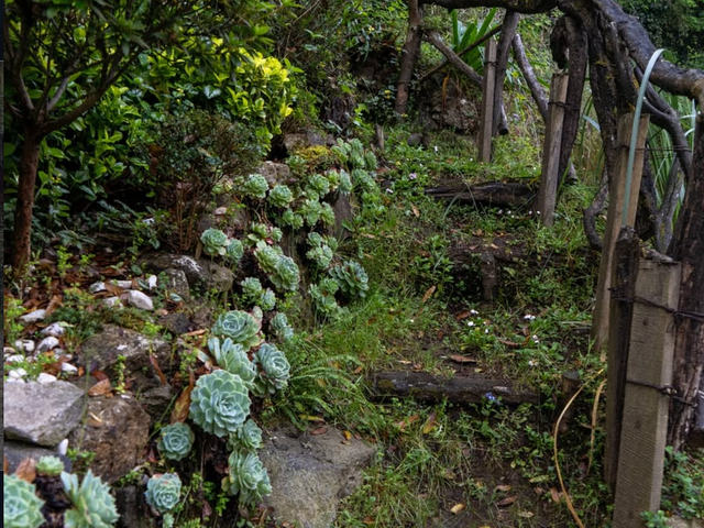 place photo 41
