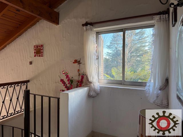 place photo 60
