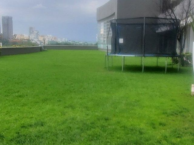 place photo 34