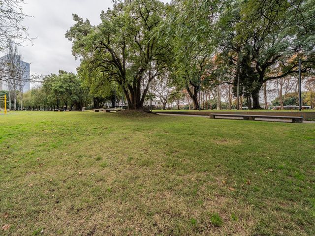 place photo 83