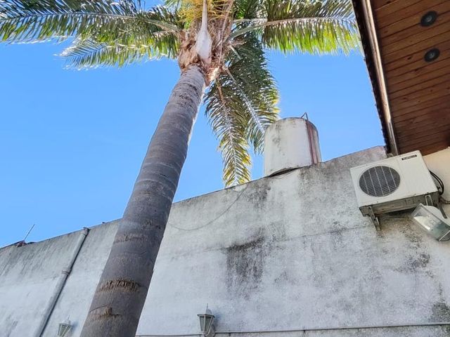 place photo 37
