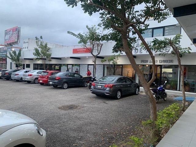 place photo 12