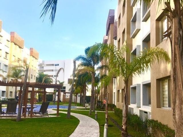 place photo 18