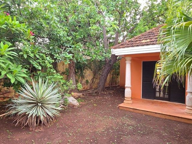 place photo 22