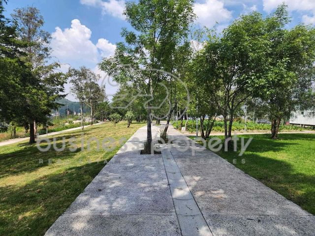 place photo 28