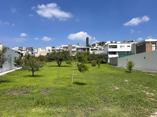 place photo 22