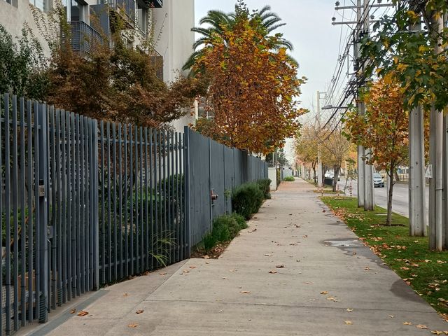 place photo 25