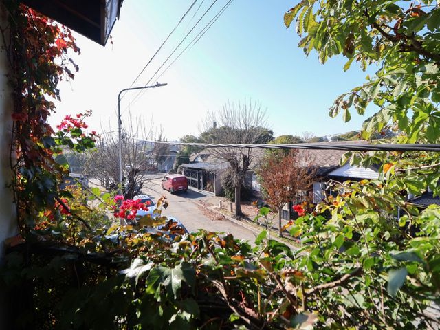 place photo 26