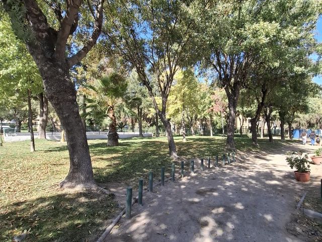 place photo 27